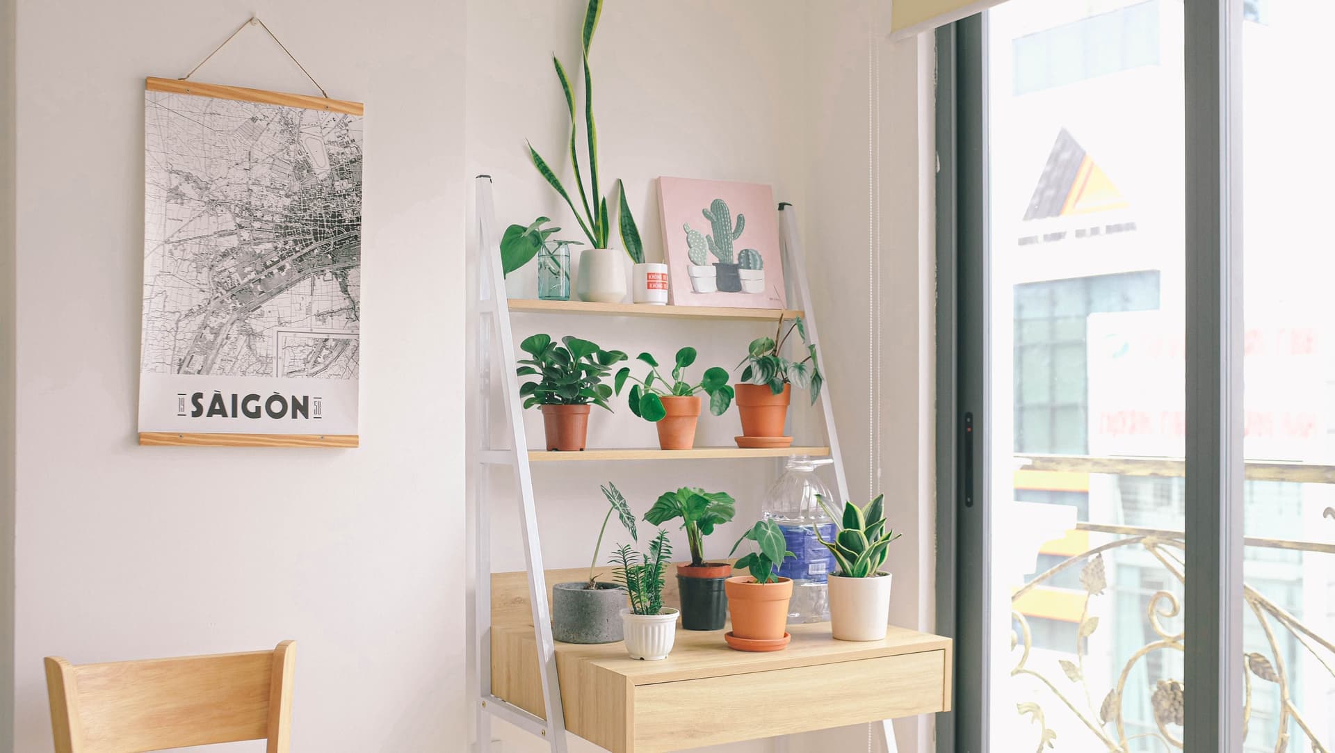 A light-filled room with potted plants arranged on shelving in a corner